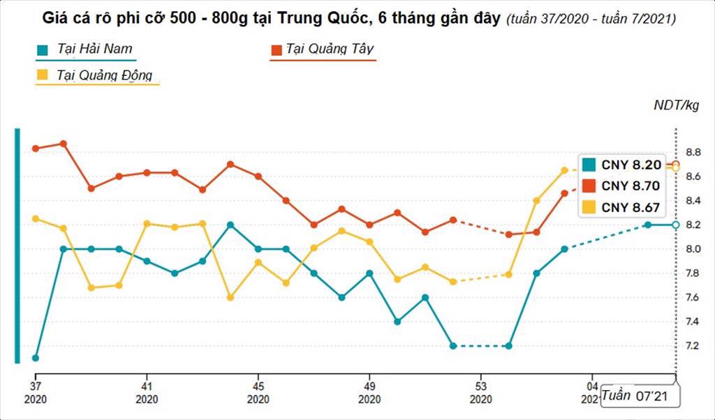 Giá cá nước ngọt Trung Quốc tăng đột biến sau Tết Nguyên đán