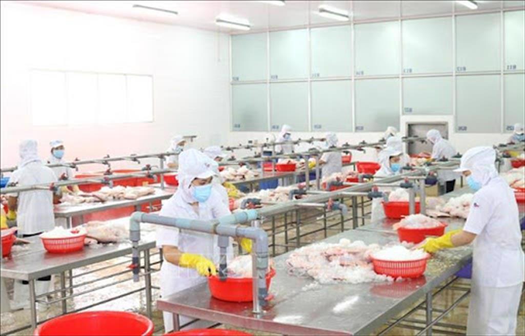 Xuất khẩu thủy sản 7 tháng đầu năm 2021 đạt gần 5 tỷ USD