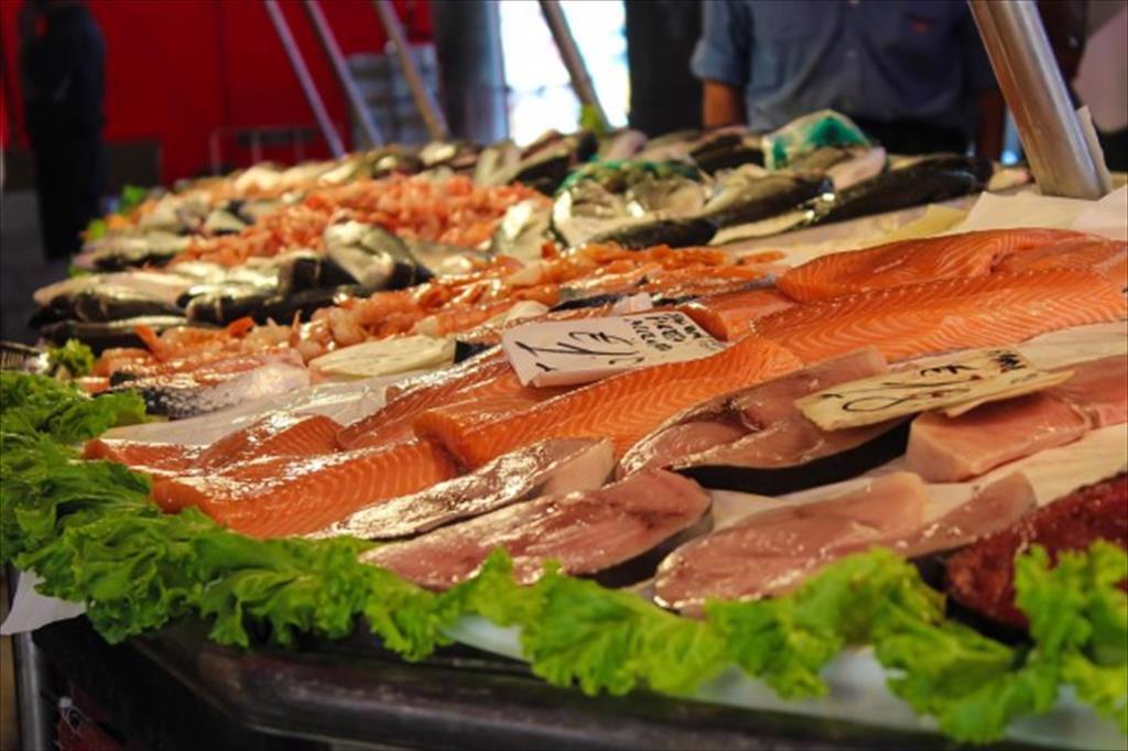 Australia Tiêu thụ và nhập khẩu thủy sản giảm do Covid