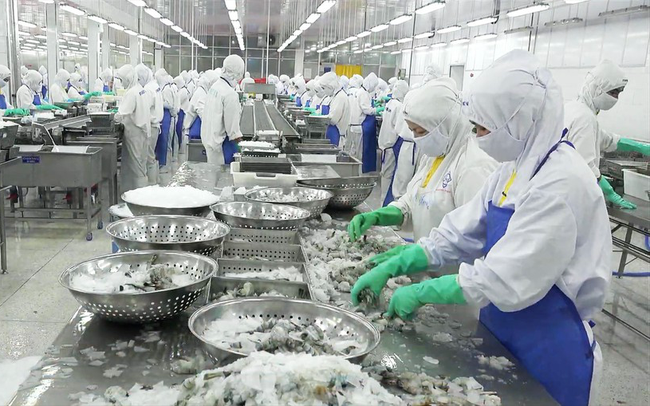 Covid chưa dứt doanh nghiệp thủy sản thêm lo gánh nặng “nghĩa vụ môi trường”
