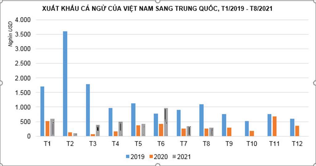 Trung Quốc tăng nhập khẩu cá ngừ từ Việt Nam
