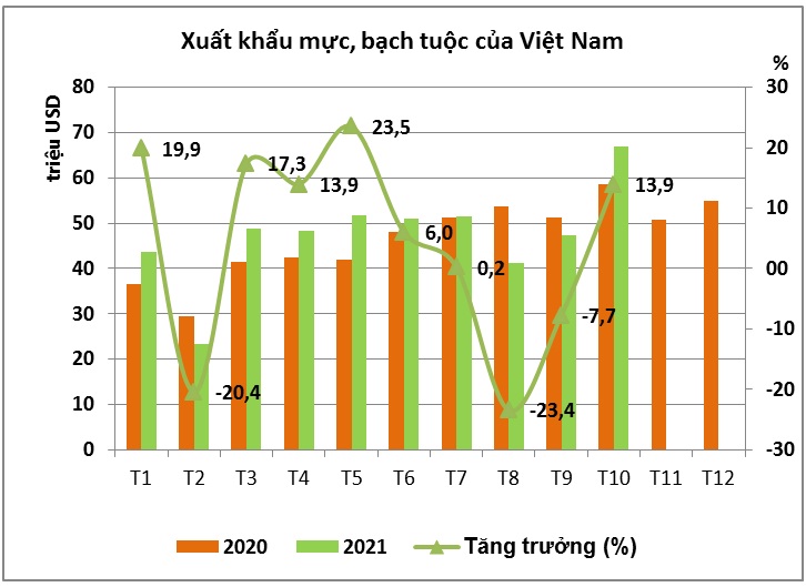 Xuất khẩu mực bạch tuộc đối mặt với thiếu nguyên liệu