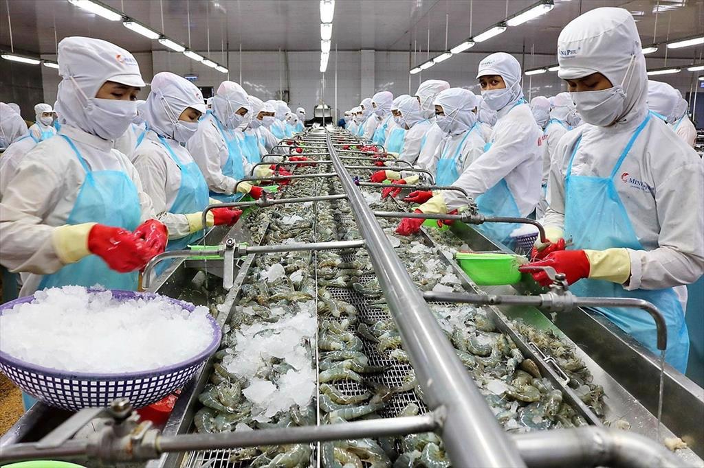 Xuất khẩu thuỷ sản tháng 5 hạ nhiệt vẫn chạm mốc 1 tỷ USD