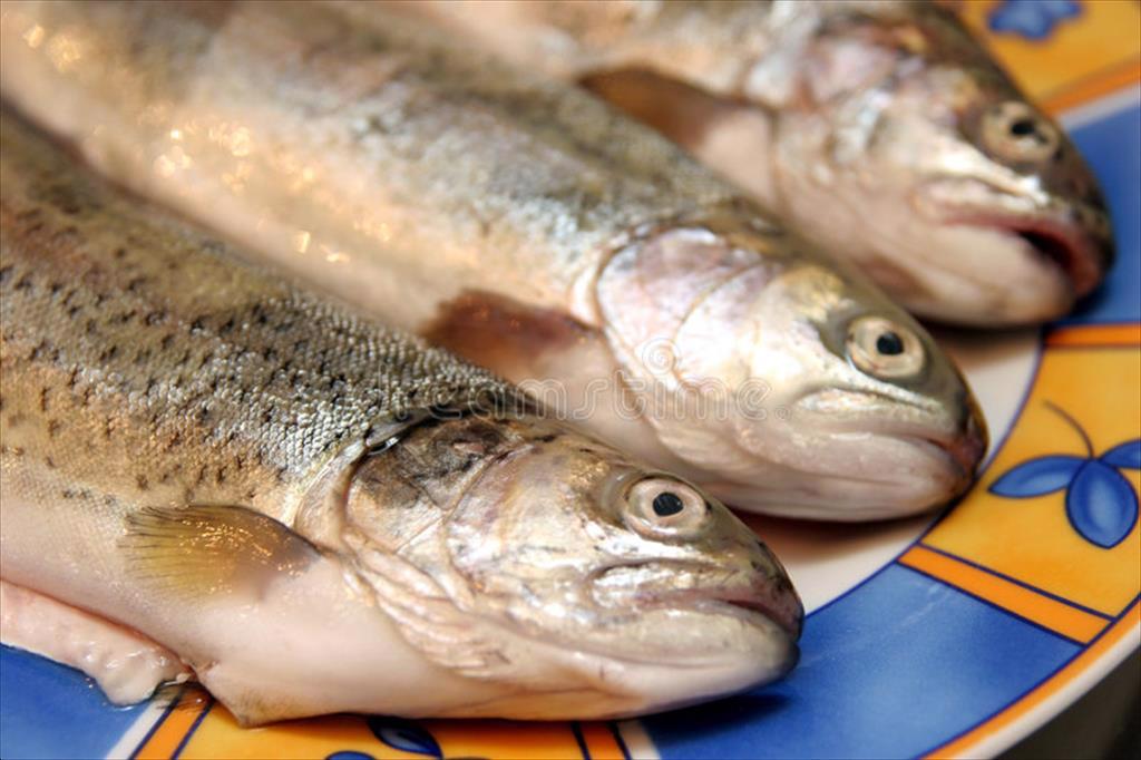 Cá Nga được mong đợi ở Trung Quốc Подробнее на fishretailru httpsfishretailrunewsrossiyskuyuribugdutvkitae437357