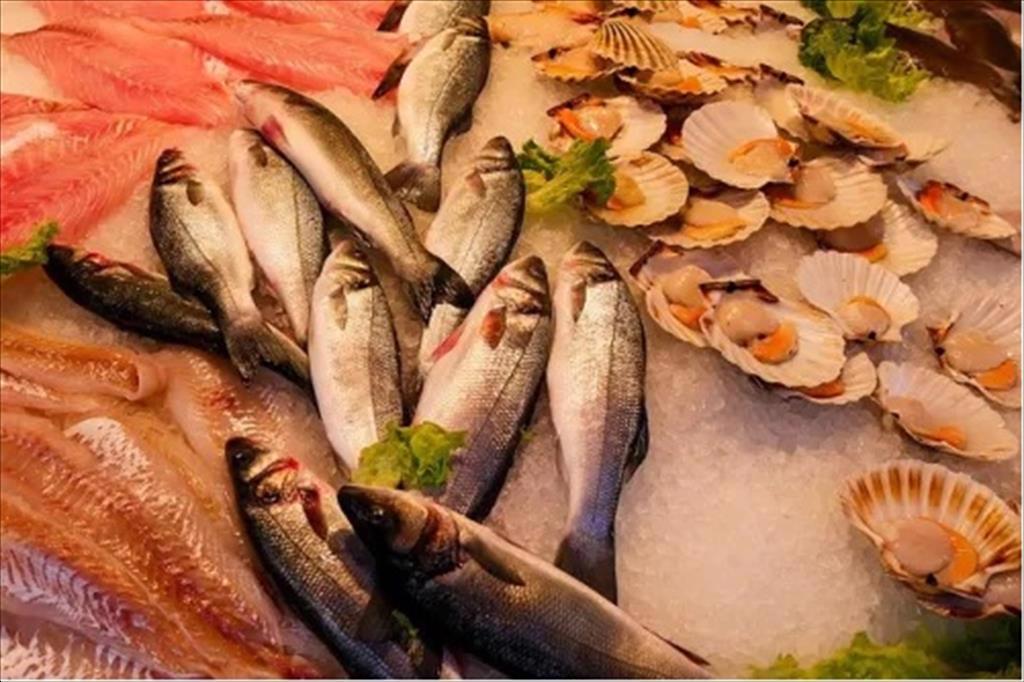 Xuất khẩu thủy sản của Trung Quốc tăng gần 16