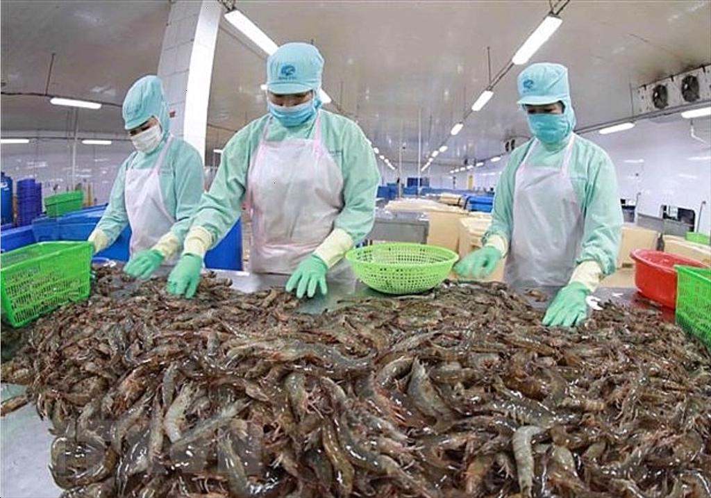 Lạm phát châu Âu gây tác động đa chiều đến xuất khẩu thủy sản Việt Nam