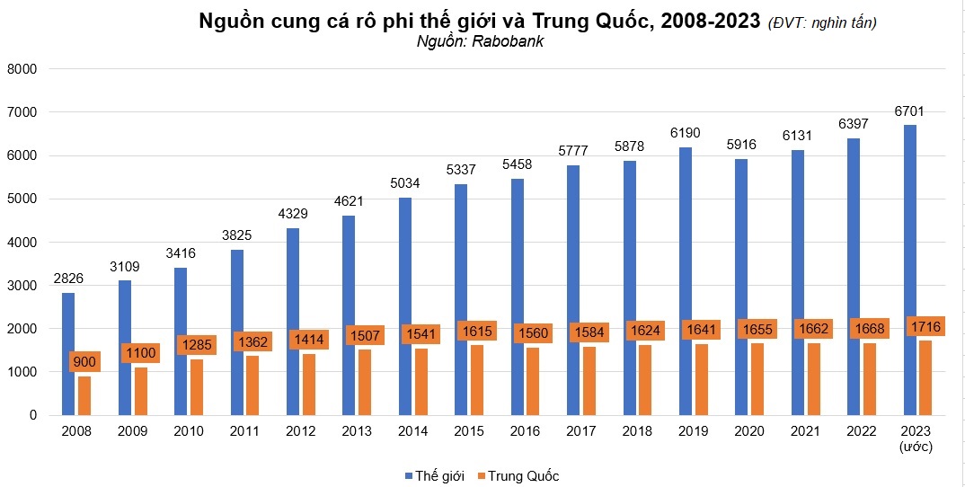 Cá tra giành thị phần cá rô phi tại Mỹ