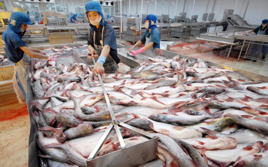 Mỹ mua gần 6 triệu pao cá da trơn