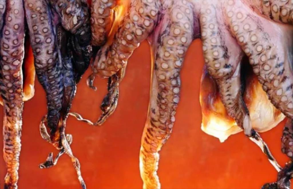 Thị trường mực bạch tuộc toàn cầu đối mặt với nguồn cung hạn chế