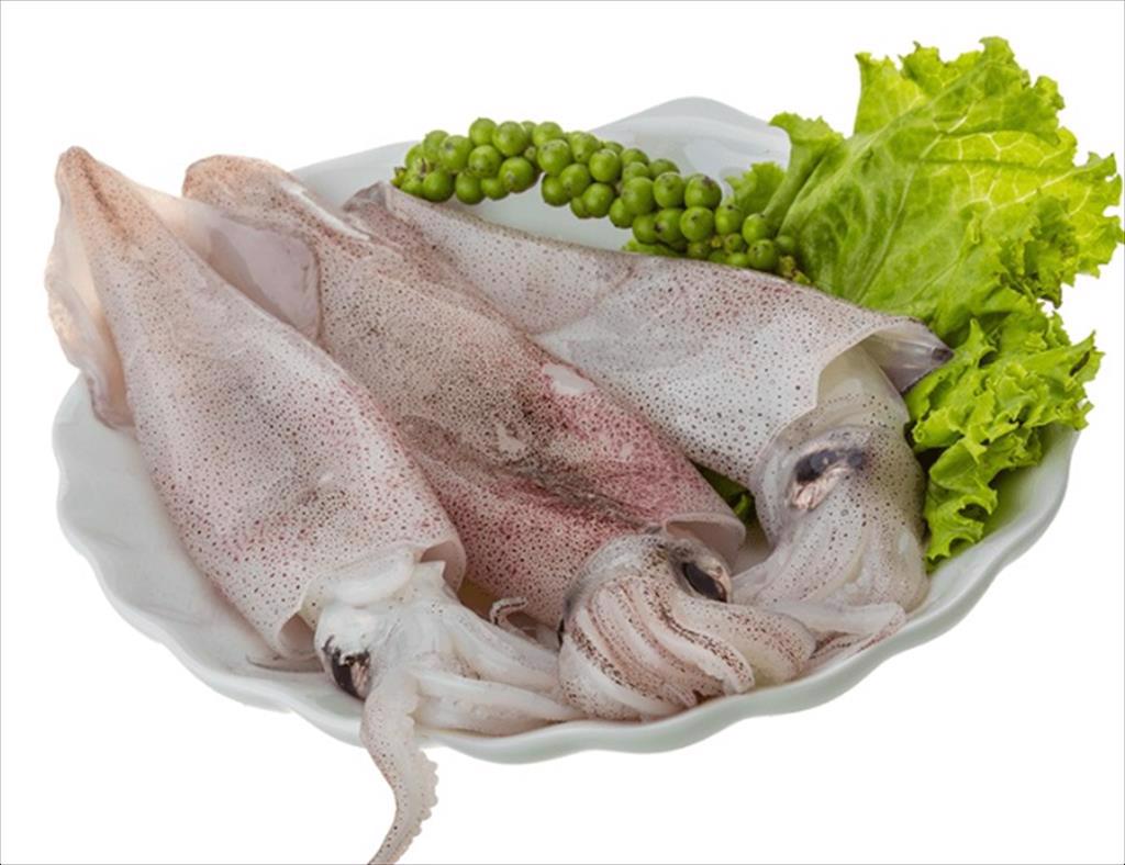 Trung Quốc Khai thác và nhập khẩu mực tăng nhưng tiêu thụ nội địa giảm