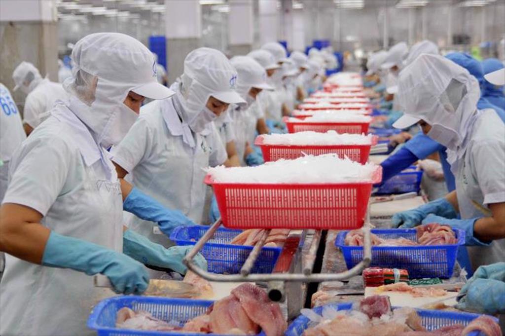 Xuất khẩu cá tra hướng đến mục tiêu 2 tỷ USD năm 2024
