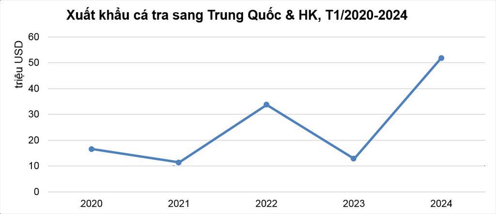 Năm 2024 Trung Quốc sẽ là động lực của xuất khẩu cá tra Việt Nam