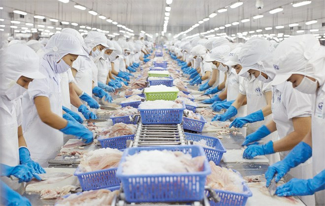 Xuất khẩu cá tra Việt Nam sang Mỹ kỳ vọng tăng tốc