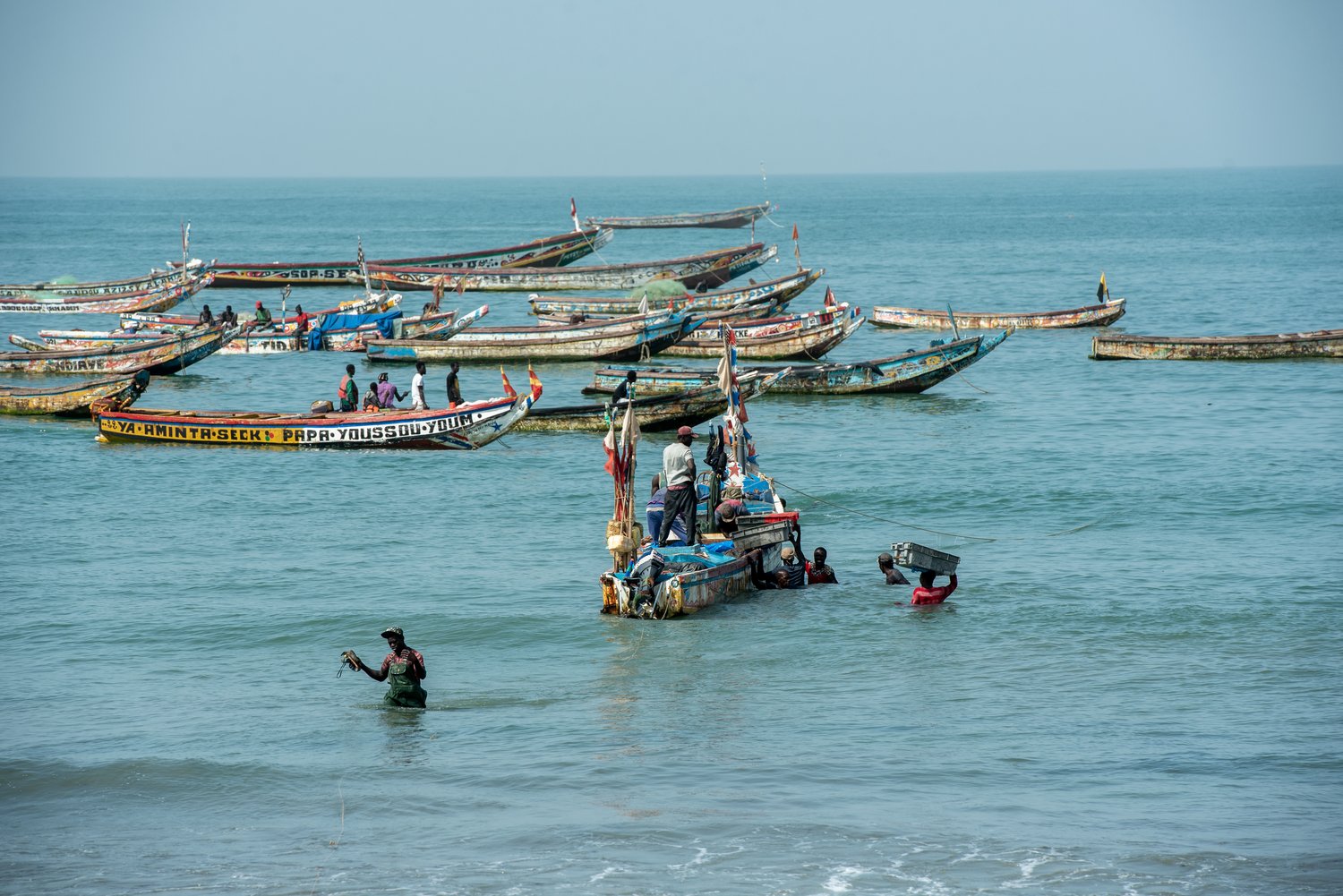 EU kêu gọi Senegal tăng cường đấu tranh chống khai thác IUU