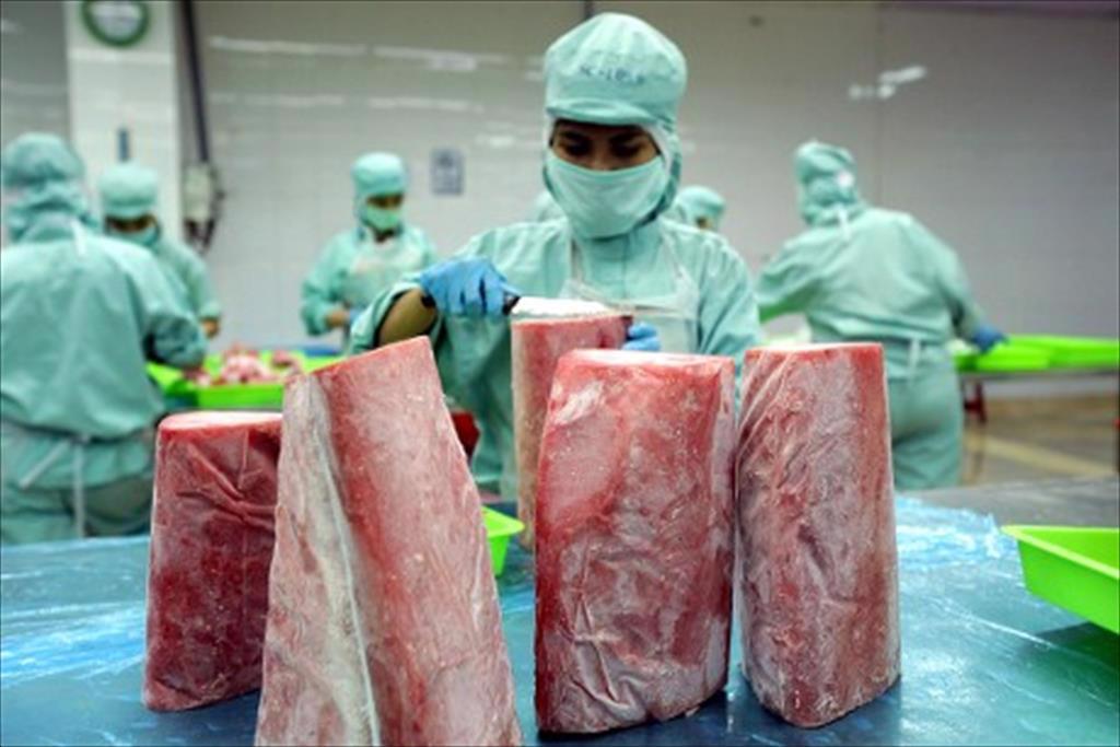Doanh nghiệp cá ngừ lo lắng vì căng thẳng Israel Iran leo thang