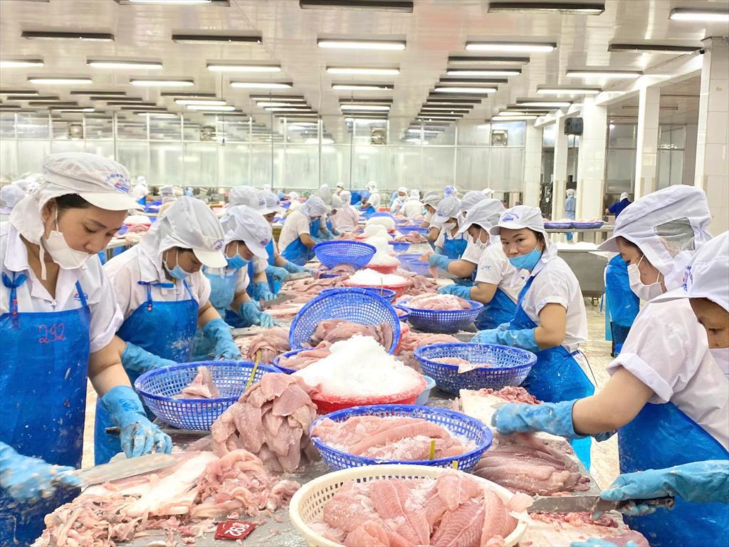 Nhập khẩu cá thịt trắng vào Mỹ Phile cá tra đông lạnh giữ top đầu