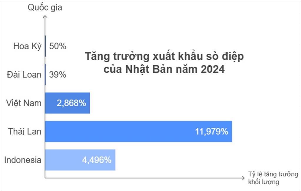 Giá sò điệp Nhật Bản tăng vọt do nhu cầu toàn cầu tăng sản lượng thu hoạch của Hoa Kỳ giảm