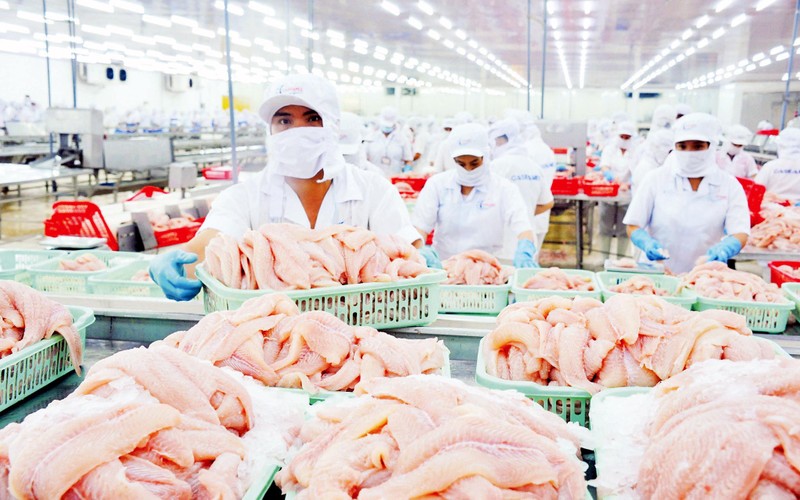 Mỹ công bố kết quả chính thức mức thuế CBPG cá tra phile đông lạnh Việt Nam POR20 7 doanh nghiệp hưởng thuế 0