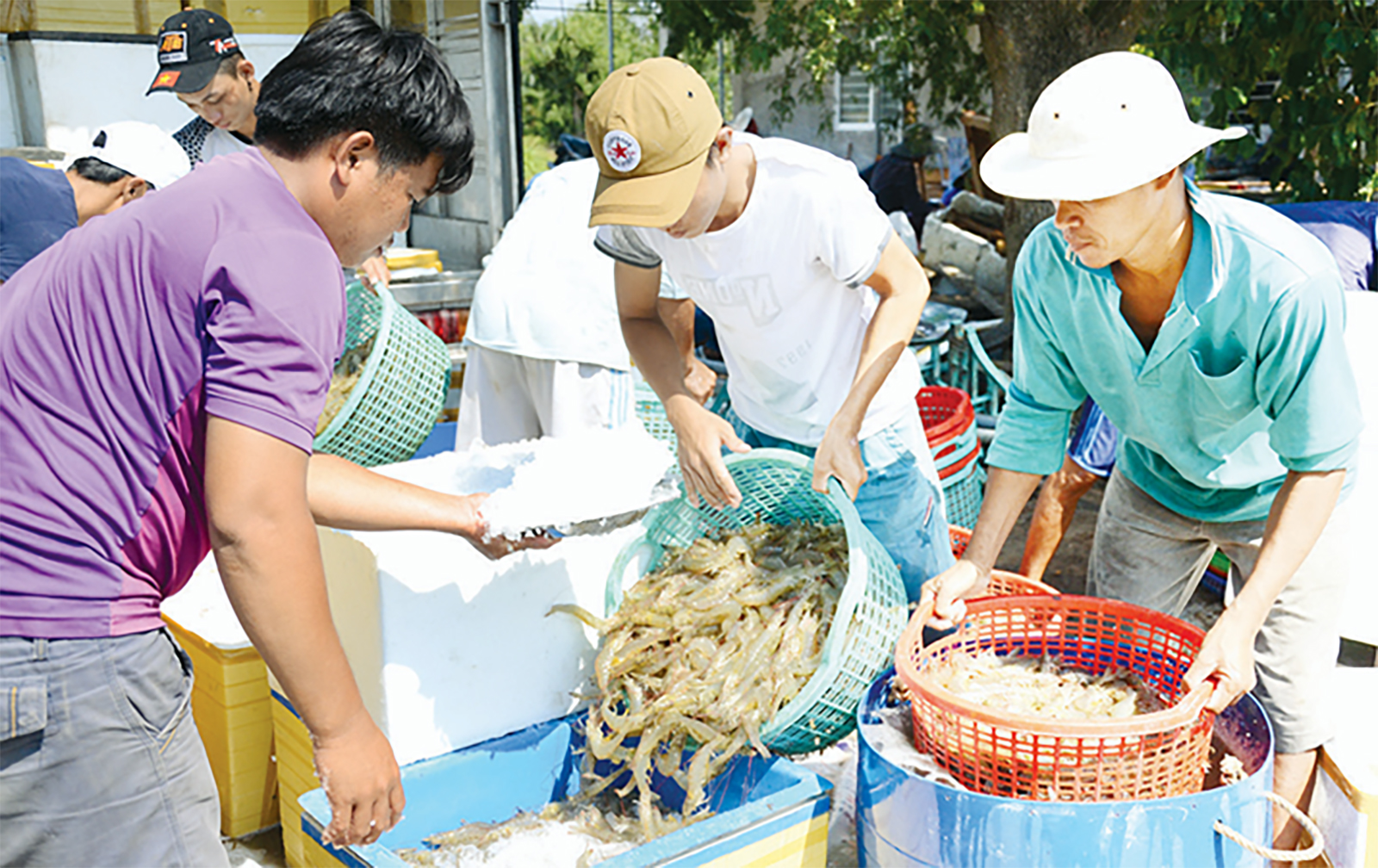 Chú thích ảnh
